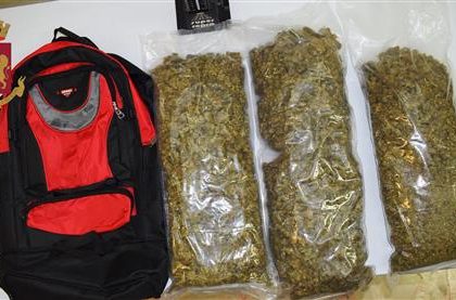 marijuana
