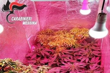 Coltivava marjiuana in casa arrestato un 39enne Messinese