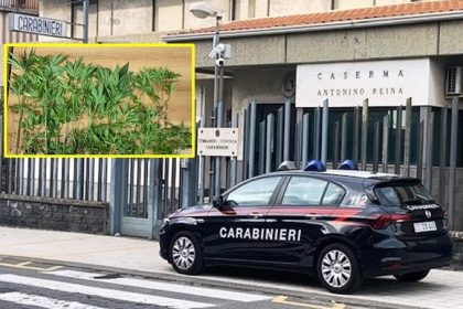 carabinieri ,ascalucia arrestano uomo per spaccio