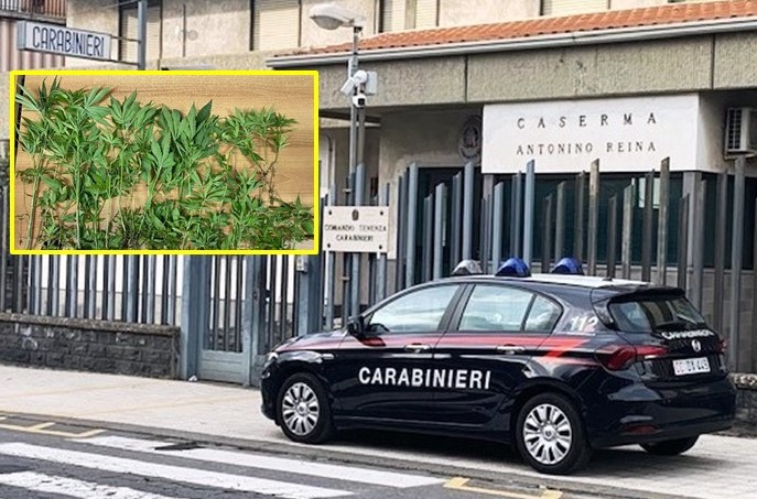 carabinieri ,ascalucia arrestano uomo per spaccio