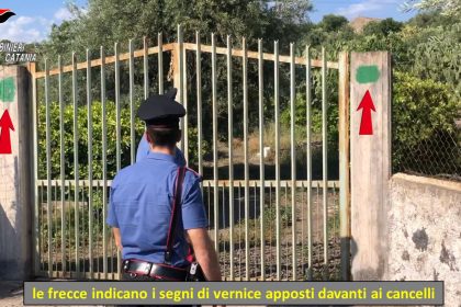 vigilantes abusivi