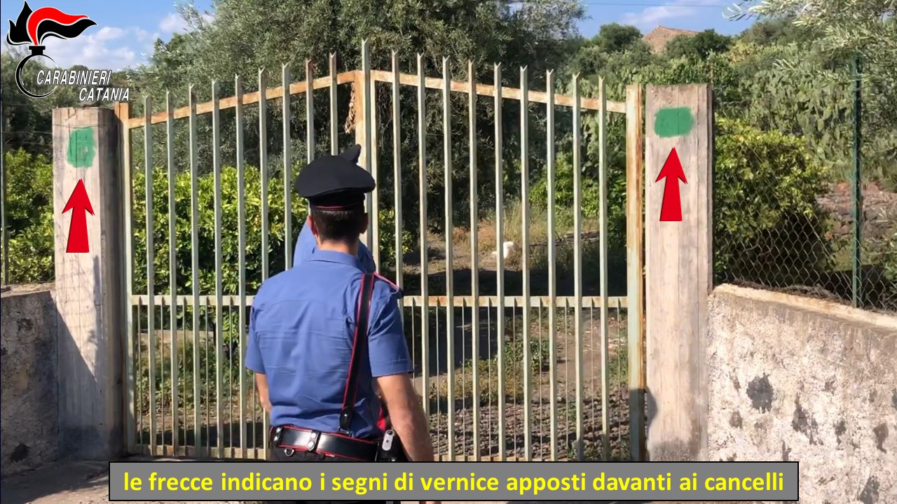 vigilantes abusivi