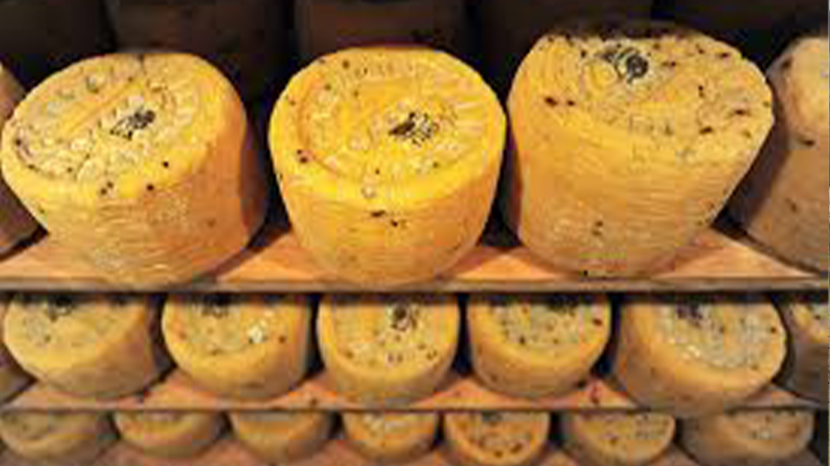 Enna città del formaggio