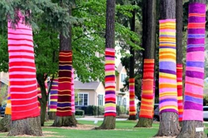Gli alberi di Enna si vestono di Natale
