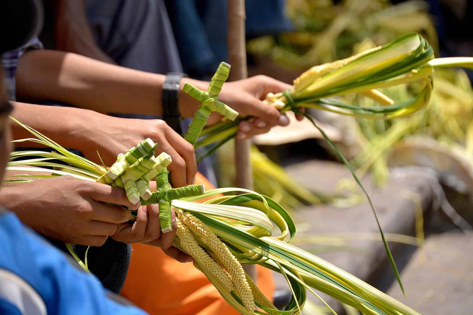 La serenata della Domenica delle Palme.