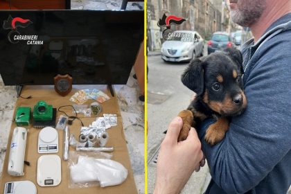 Scovato fortino della droga. Allevavano un cane guardiano.