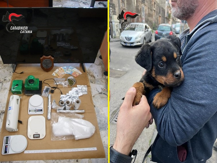 Scovato fortino della droga. Allevavano un cane guardiano.