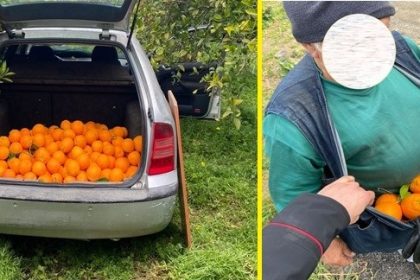Mineo. In trasferta per fare il “pieno” di arance: tre arresti