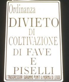 Scuola Cannizzaro Galatti. Ordinanze di favismo