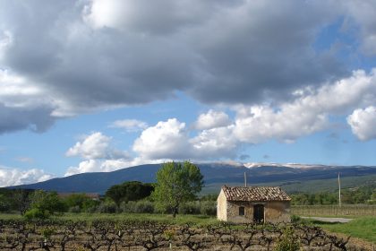 Truffa su 'quote vigne' nel Catanese, sequestrati terreni.