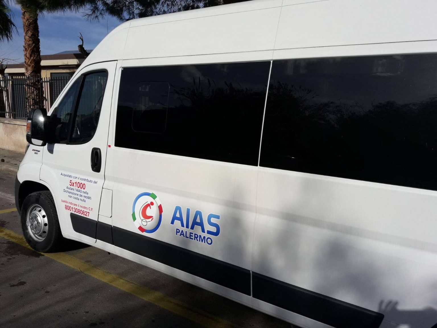 pulmino aias