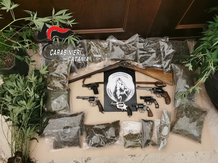 san cristoforo piantagione e armi