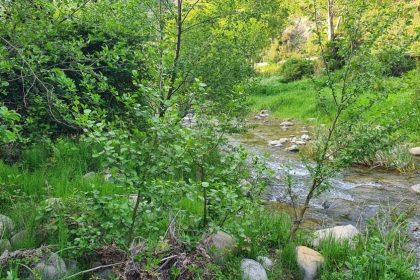A Sinagra si celebra la terra con geoevento: I sentieri dell'acqua