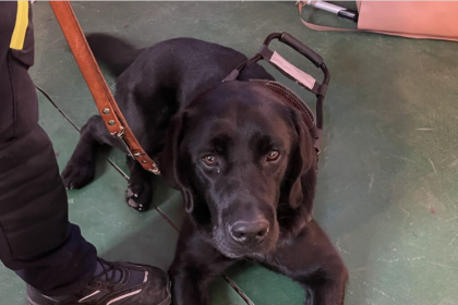 Barcellona P.G. Celebrata XVIII giornata nazionale del cane guida