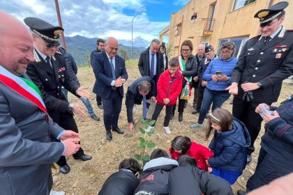 Pettineo. Messa a dimora della talea: albero di Giovanni Falcone