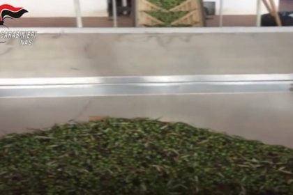 Messinese. Controlli dei Nas: sequestrati 800 litri d’olio irreperibile