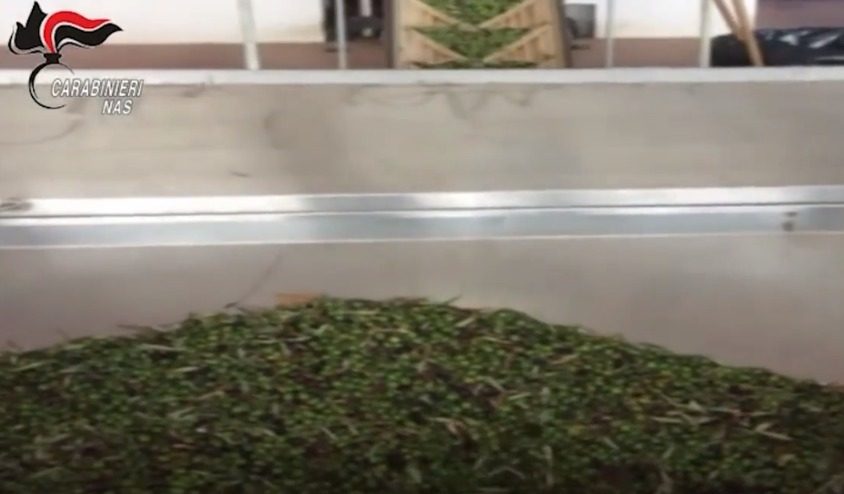 Messinese. Controlli dei Nas: sequestrati 800 litri d’olio irreperibile