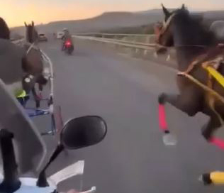 corsa clandestina catania