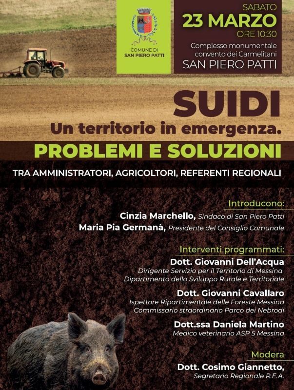 San Piero Patti. Emergenza suidi: problemi e soluzioni