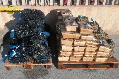molluschi sequestrati