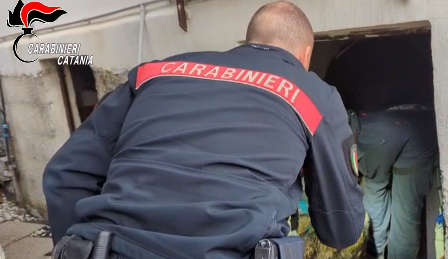 Aci Sant'Antonio droga shop