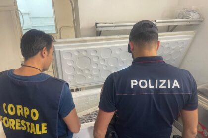blatte nel cibo ad aci trezza