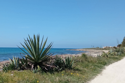 disperso in mare nuota 20 ore e tocca terra a marina di modica